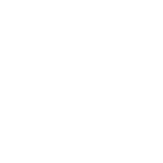 Action Advisors White Footer Logo